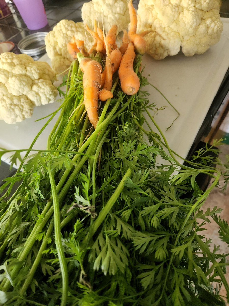 Author Christi Lee tweet media