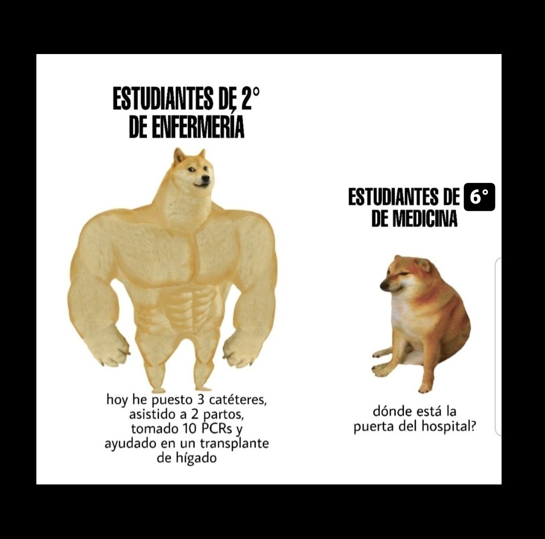Hilo mini resumen de las prácticas de 6° de Medicina ⏬