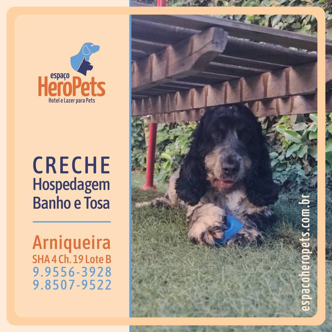 EspacoHeroPets's tweet image. Espaço para seu Pet 🐾 com estrutura para brincar e fazer amizade. Ou apenas para relaxar com um super banho. 🐶 Venha conhecer: EspacoHeroPets.com.br.