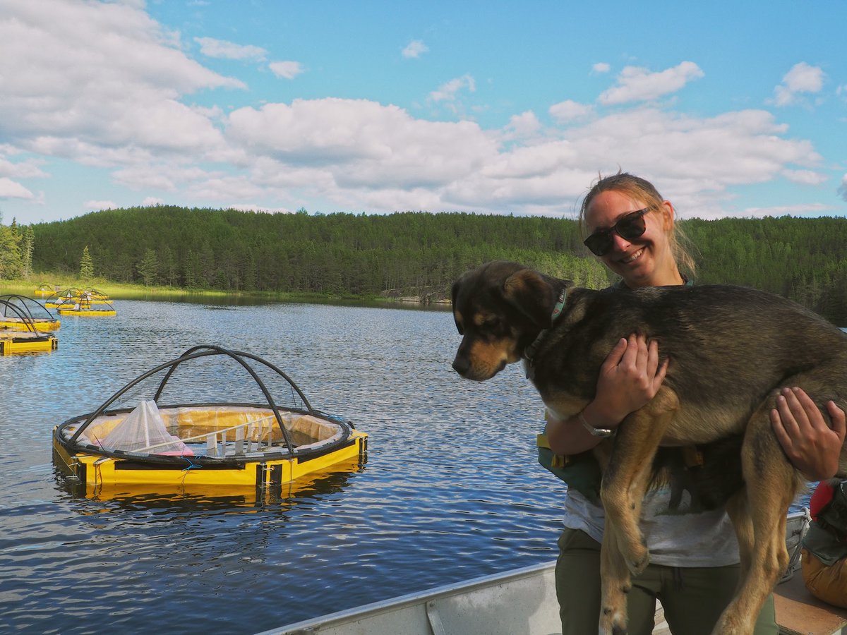 jovheather's tweet photo. I can make the preliminary assessment that venlafaxine at current environmentally relevant concentrations does not appear to pose a significant ecological risk to aquatic ecosystems. Stay tuned to my page for more research updates! (18/18) https://t.co/DXFLLWnANQ