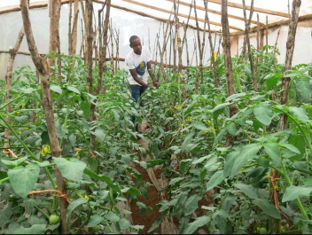 Christel KENOU (@christelkenou) on Twitter photo 🎥 Semences de légumes traditionnels au Bénin : Un documentaire vidéo sur les semences de légumes traditionnels au #Bénin
👉 youtu.be/TPx_SNSqXlU
#Legumes #Conservation #Biodiversité <a href="/GbiosFsaUac/">Genetics, Biotechnology and Seed Science</a> 🎥 Semences de légumes traditionnels au Bénin : Un documentaire vidéo sur les semences de légumes traditionnels au #Bénin
👉 youtu.be/TPx_SNSqXlU
#Legumes #Conservation #Biodiversité <a href="/GbiosFsaUac/">Genetics, Biotechnology and Seed Science</a>