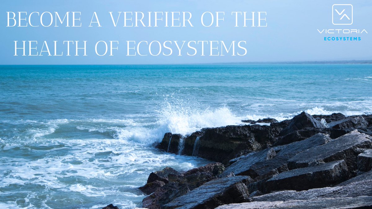 timeforvictoria's tweet photo. Victoria Ecosystems is soon launching Decentralized  Environmental Verification (DEV), to allow anyone in the world to become a #verifier of the health of #ecosystems. Stay tuned! https://t.co/f5mviJ0o5Y