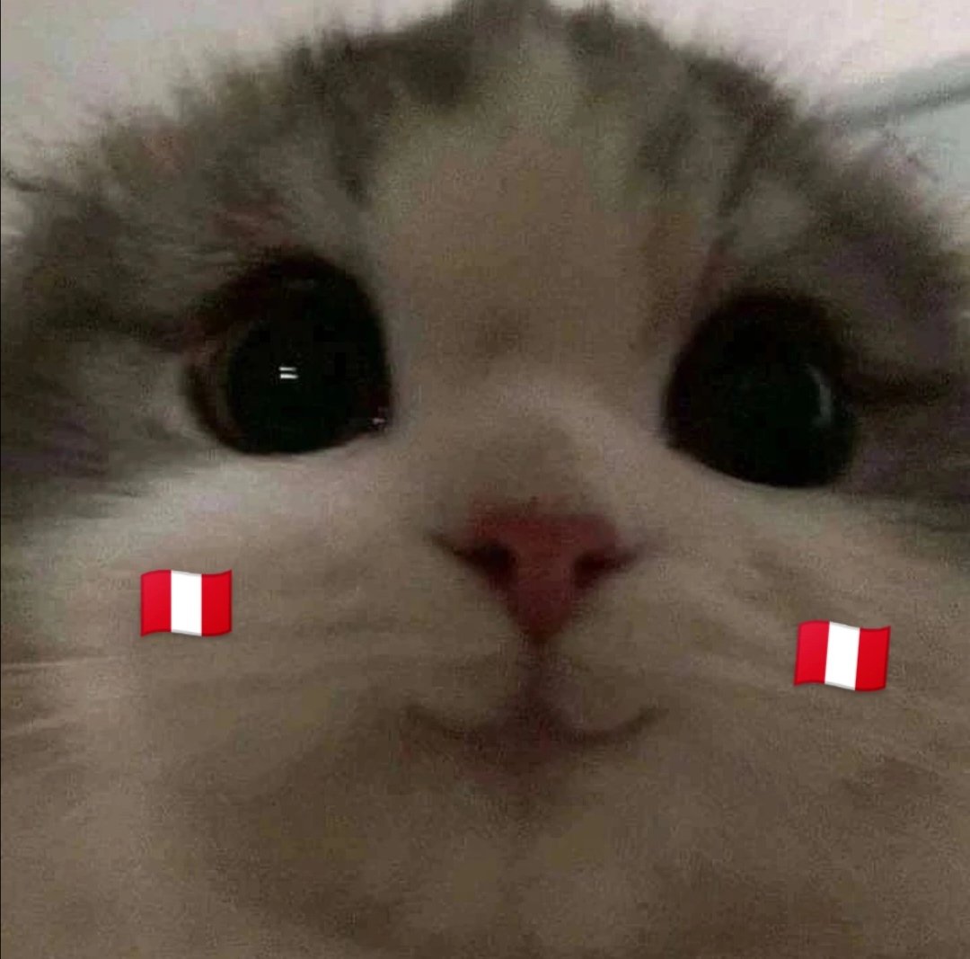 vabelh's tweet photo. #PeruvsAustralia #Peru #Qatar2022

Mi estabilidad emocional depende del partido de hoy https://t.co/76iNAgCb5U
