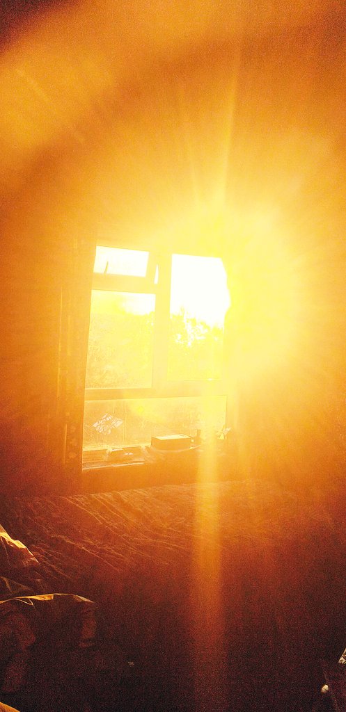 Bono66020372's tweet photo. I took this #WindowView in February & ive been #passionate about #photography ever since I #bought a #camera when I was #age17 & at #citycollegenorwich on a #fulltime #2year #course - #Homemanagementandfamilycare to become #noredomesticated = from #Ladette to #Lady to #Ladette ha https://t.co/7Zo8WOR2dQ