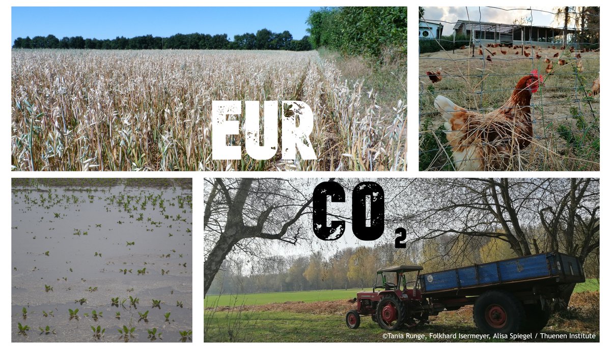 Deadline for abstract submission #EAAE181 extended till June 20th

We've received many highly relevant contributions from 12 countries. Use the last chance to submit your research on #climateMitigation policies in #agriculture.

Info: eaae181.de

<a href="/AgriEconEurope/">European Association of Agricultural Economists</a>