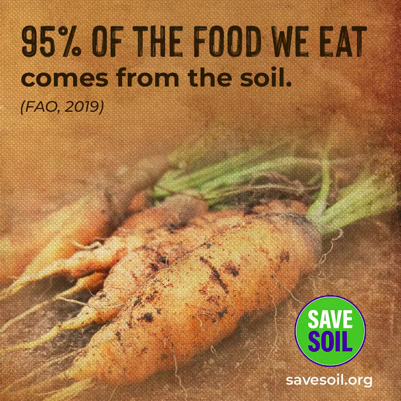 ls_tweeting's tweet image. Healthy soils are a step towards eliminating the global food crisis. #NoSoiNoFood