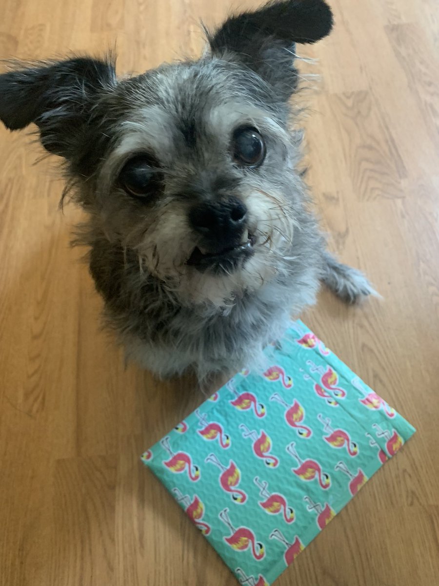 CraftedOnCanvas's tweet photo. It’s a great Monday when packages are going in the mail for customers!  📫 💛 ✨ 

#smallbusiness #art #love #creative #color #craftedcards #originalart #friends #family #positivewords #cluckedup  #LouietheChicken https://t.co/NQDlKTnKhb