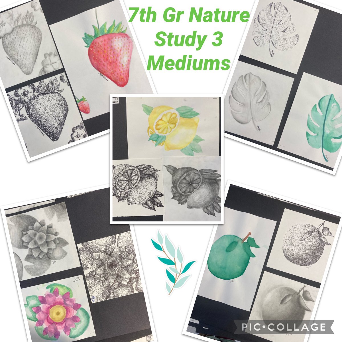 7th Gr. nature studies in 3 mediums complete 🎨 So proud of how hard they worked! @RSDNJArts <a href="/RSDsmithschool/">Smith Middle School</a>
