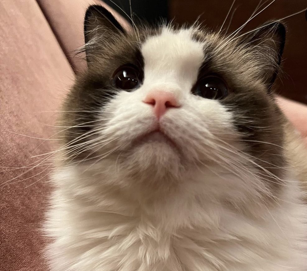  HBD to Lisa\s only girl princess Lily

HAPPY BDAY LILY    