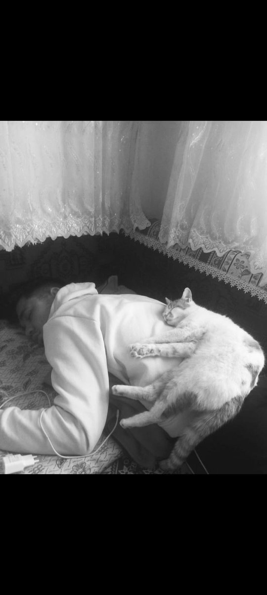 Kedi olmak istersin, 😸