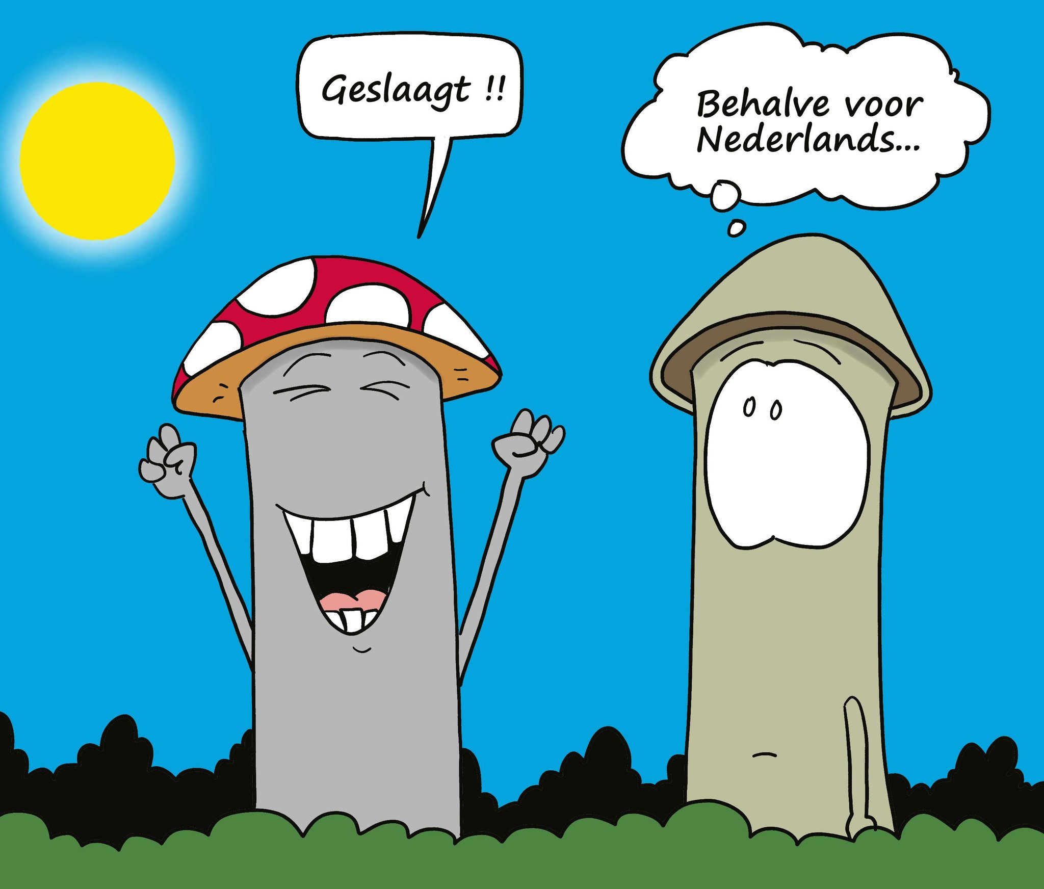 FVJDPASWYAY5-pz.jpg:large