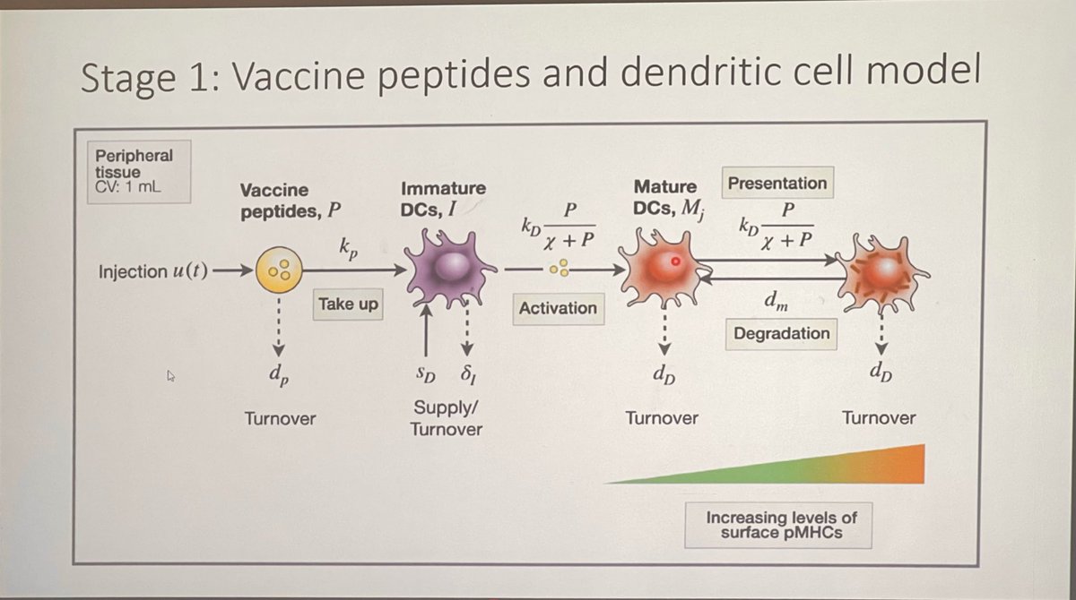 ara_anderson's tweet photo. Last talk of day 1 is from @SMB_MathBiology board member Peter Kim presenting, Modelling the effect of T cell heterogeneity on anti-cancer T cell vaccines #SWAMBA22 https://t.co/6KRmhyBeZ2