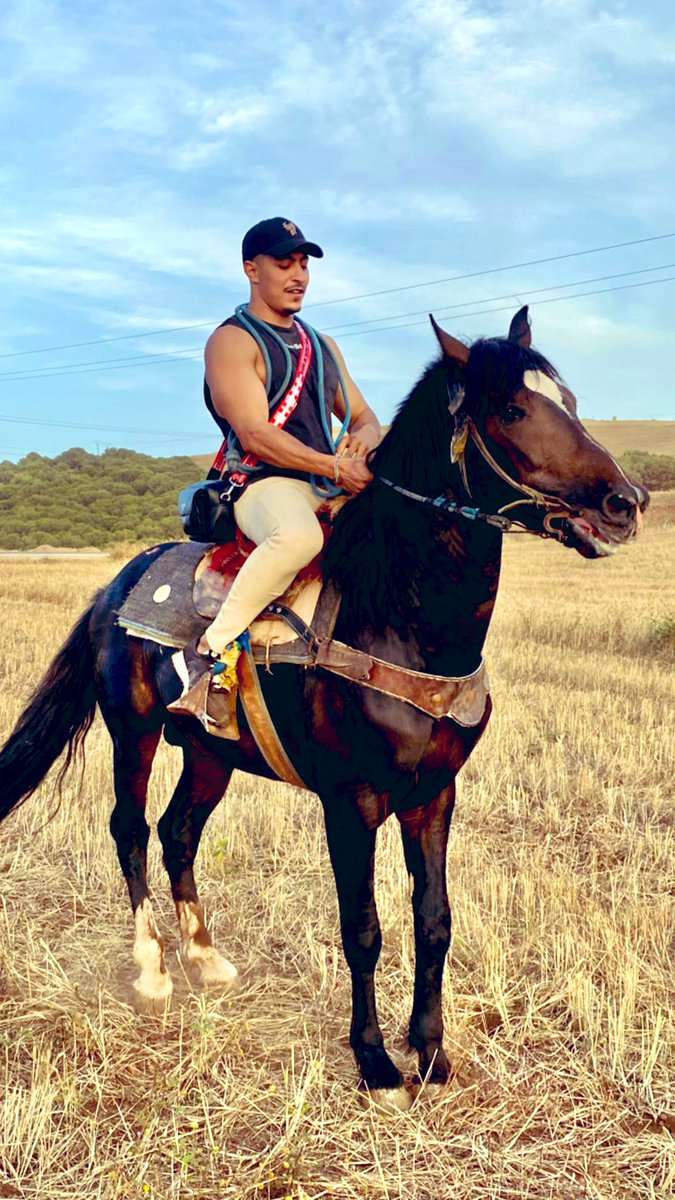Le cheval a la perception comme il a la sensation, la comparaison et le souvenir. Il a donc le jugement et la mémoire. Il a donc l’intelligence.❤️🇩🇿

ركوب الخيل💪🇩🇿 #equitation