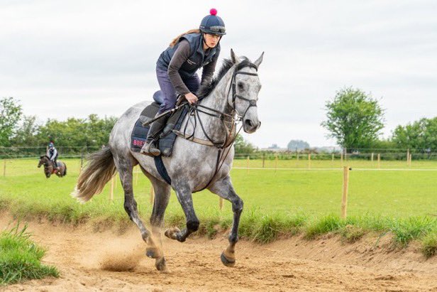 A 10% share in Landen Calling (Walter) has just become available. 1st and 2nd in his last two runs and due to run again shortly! Walter is a 6 year old in training with @OBMRacing and will make a nice chaser next season. Contact me for further details.