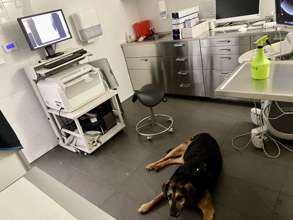 Andrzej z EU 🇪🇺🇵🇱🇺🇦🇮🇱 tweet media