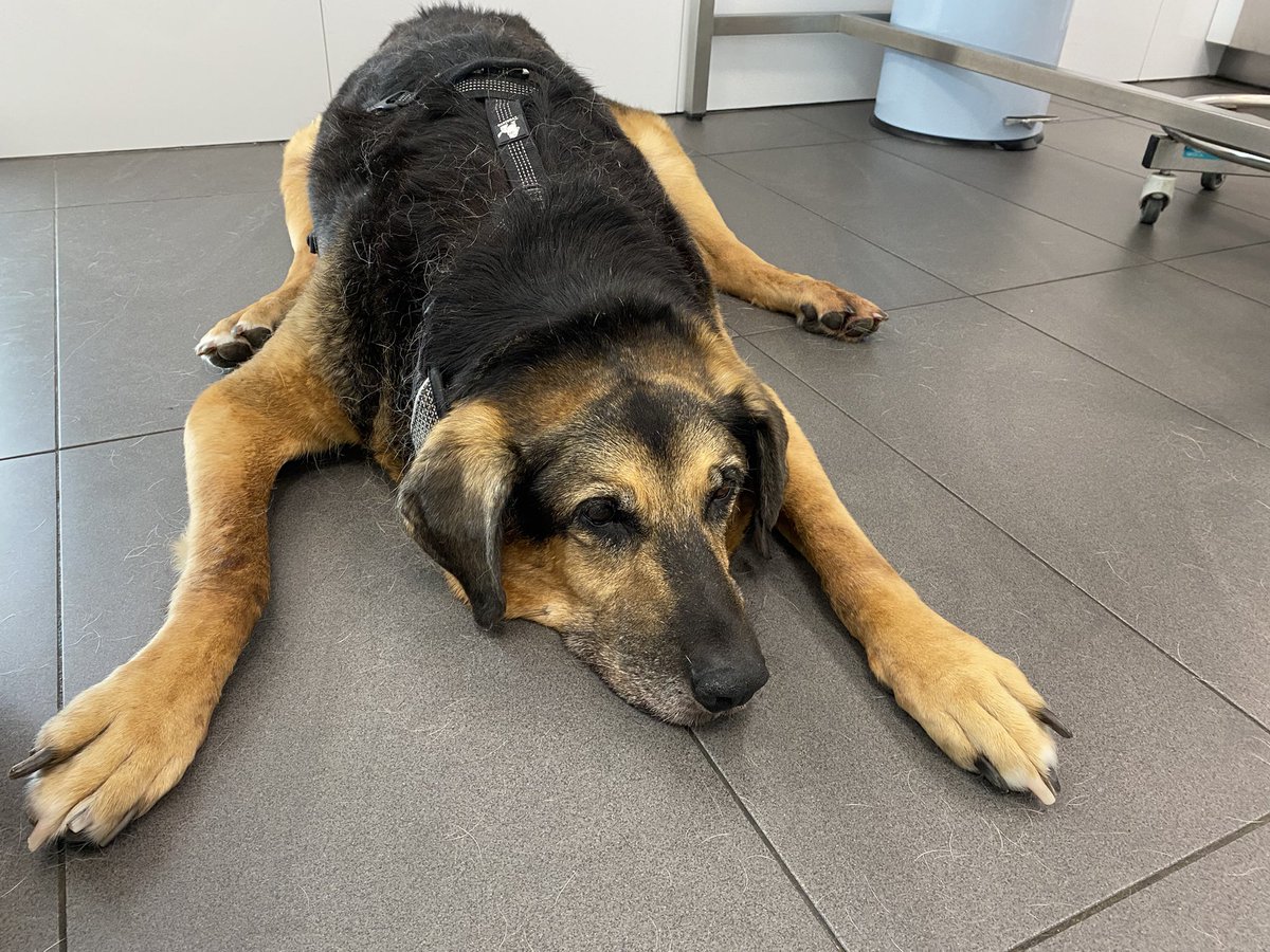 Andrzej z EU 🇪🇺🇵🇱🇺🇦🇮🇱 tweet media