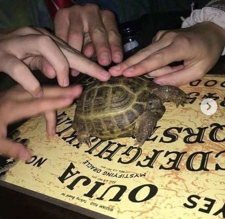 Jared Taylor Hucks tweet media