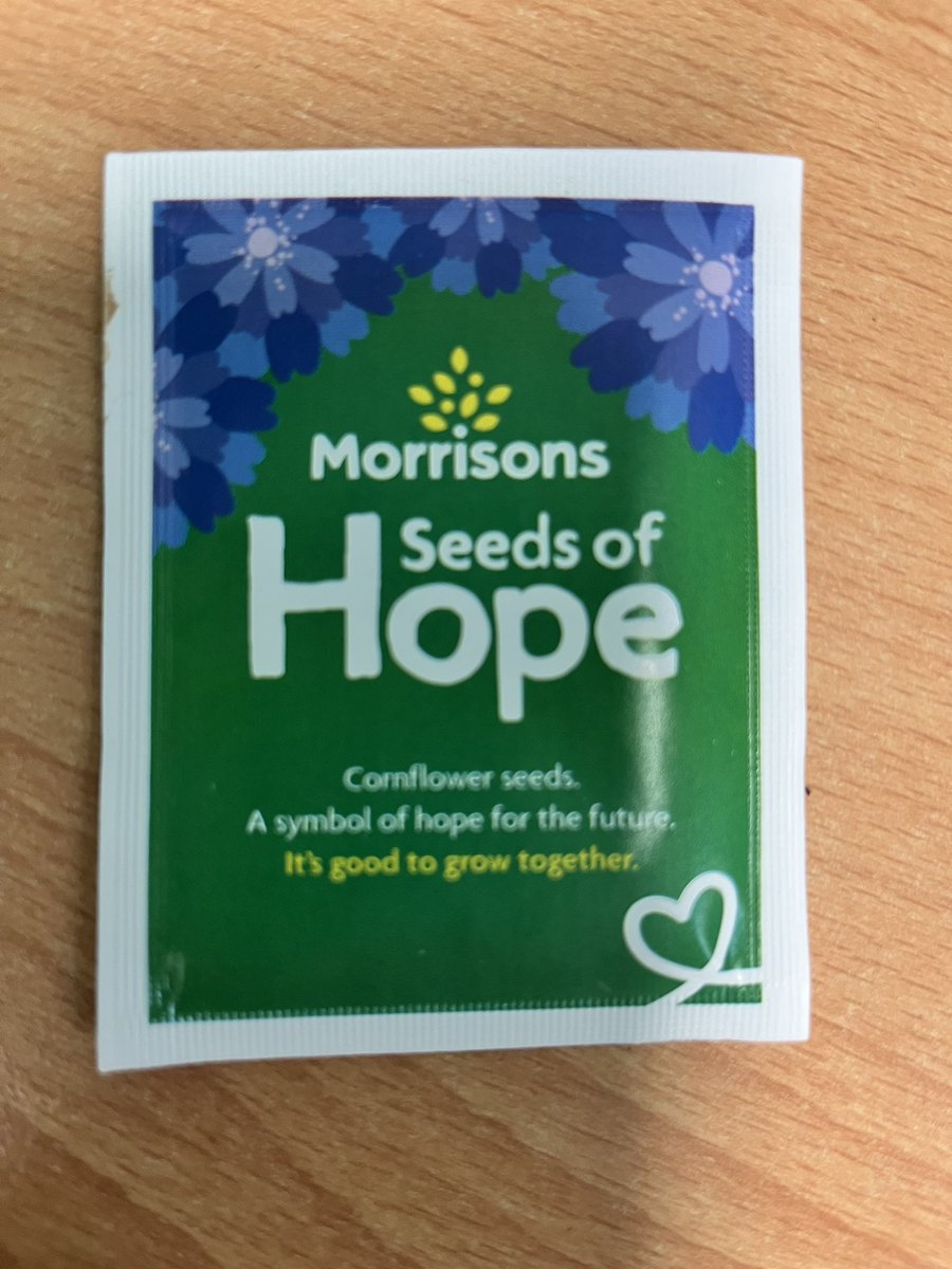 MrsCMuirCPS's tweet photo. Primary 2 have been busy planting Cornflower seeds 💙 Thanks Morrisons😀 @carmondean_ps @CarmondeanEco https://t.co/rI5NsgVght