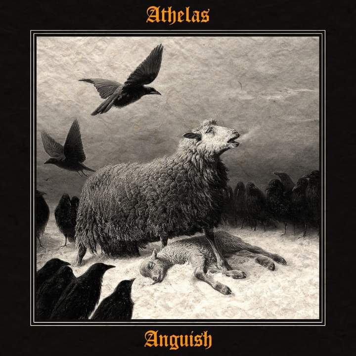 Introducing our next single: "Anguish".
Pre-save ahead of its release 20/6/22 👌

distrokid.com/hyperfollow/at…