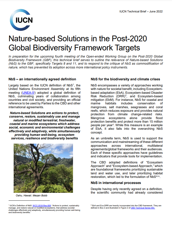 IUCNClimateTeam's tweet photo. 🆕@IUCN Technical Brief

📒#NatureBasedSolutions in the Post-2020 #GlobalBiodiversityFramework Targets

https://t.co/NRPi8lIjZj https://t.co/KQTKK0129p