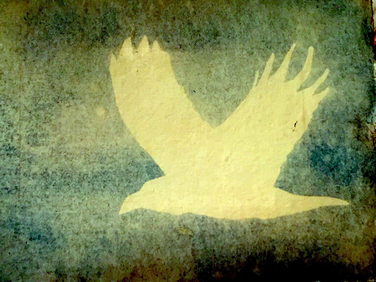 Discover DeCrypt tweet media