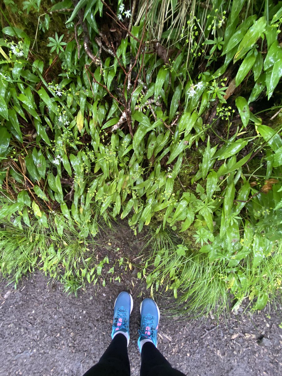 Karen Reyburn tweet media