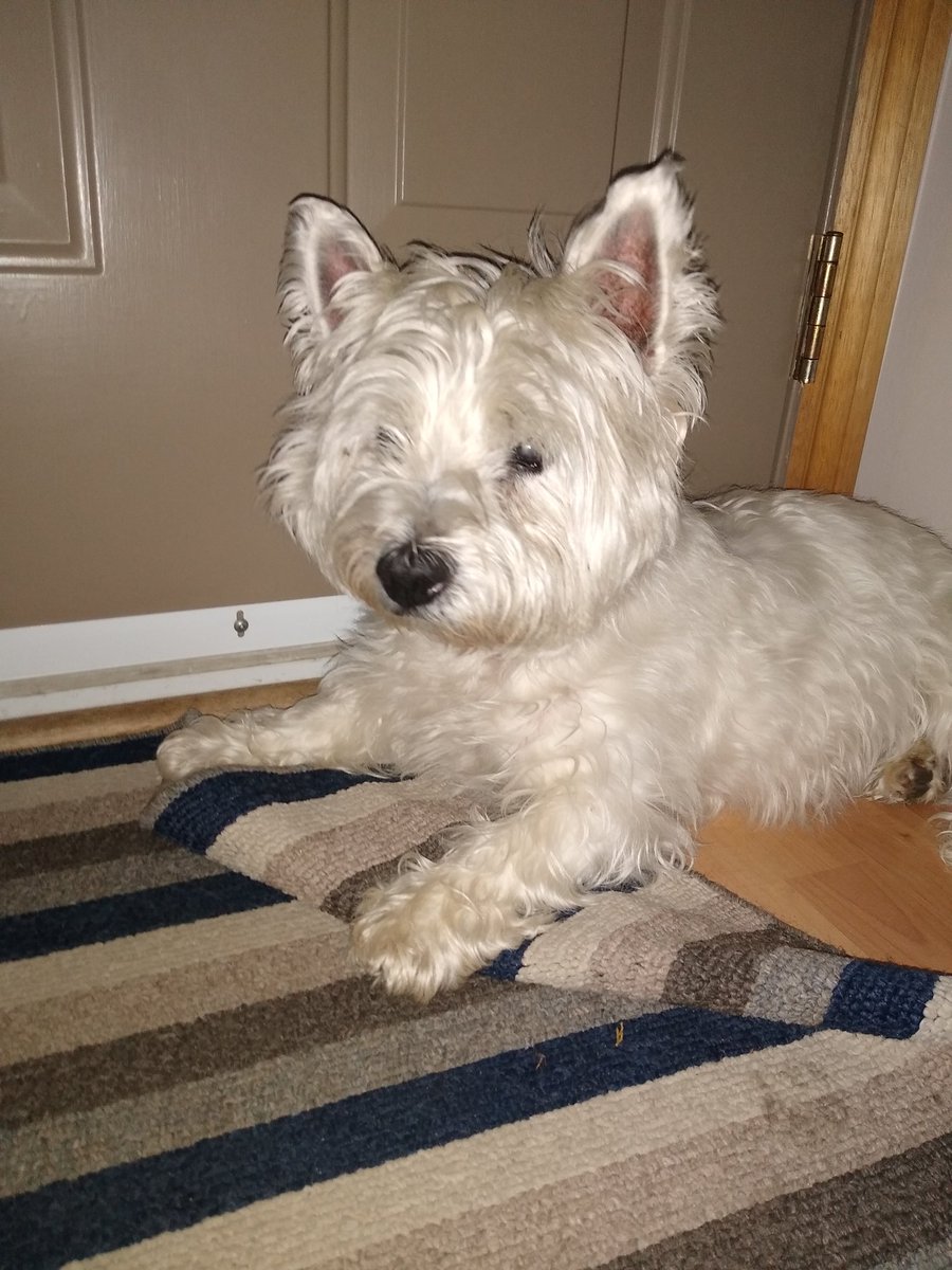 Today my sweet boy turns 17. Happy birthday Carson!