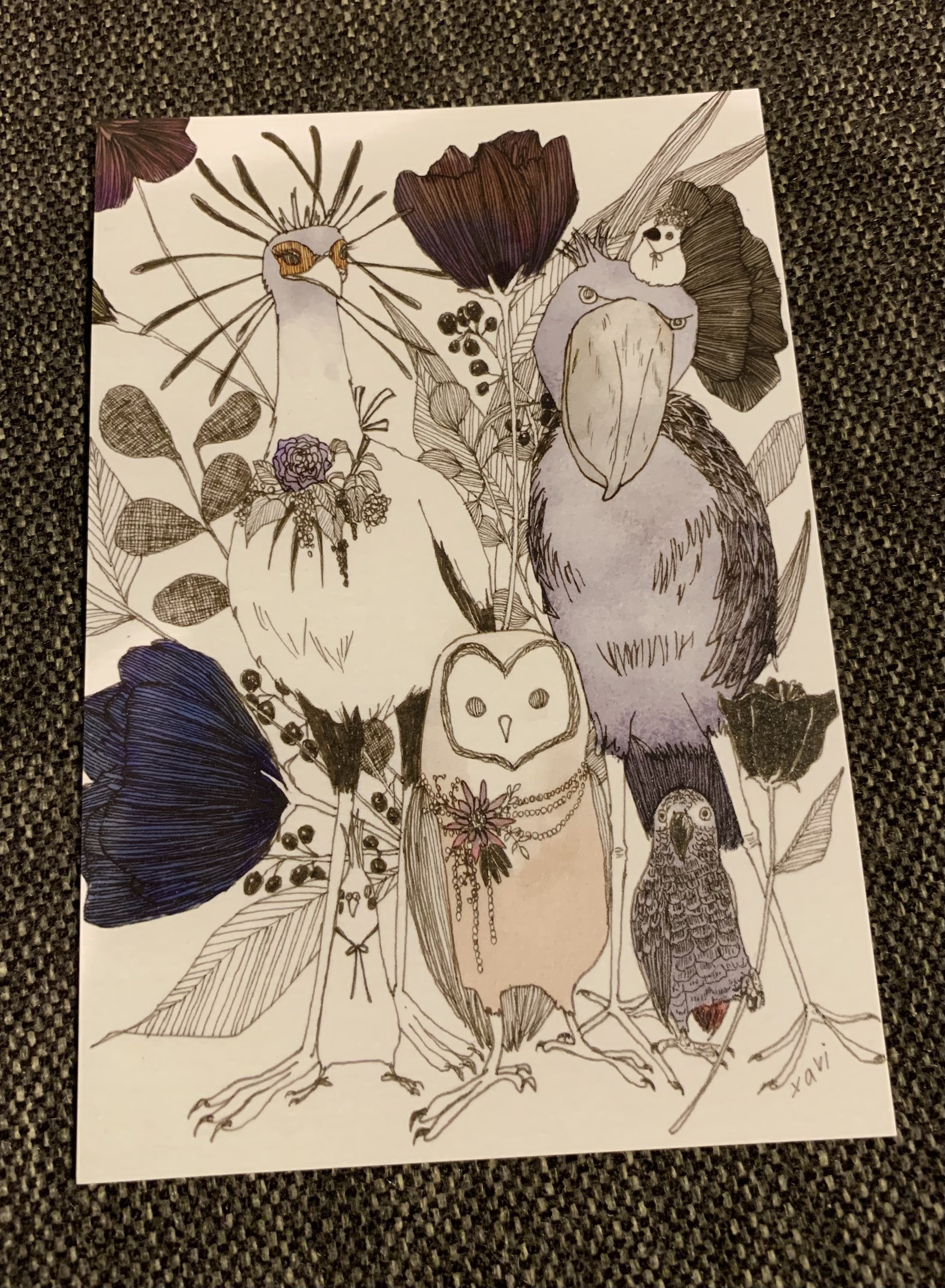 تويتر ふゆ على تويتر スウェーデンのマダムは鳥が好きとのことで花鳥園で買った鳥集合イラストを 数年前に新婚旅行でストックホルム へ行ったよという話を添えて また行きたい ストックホルム ヘビクイワシとハシビロコウ わかるかな ポスクロ T Co