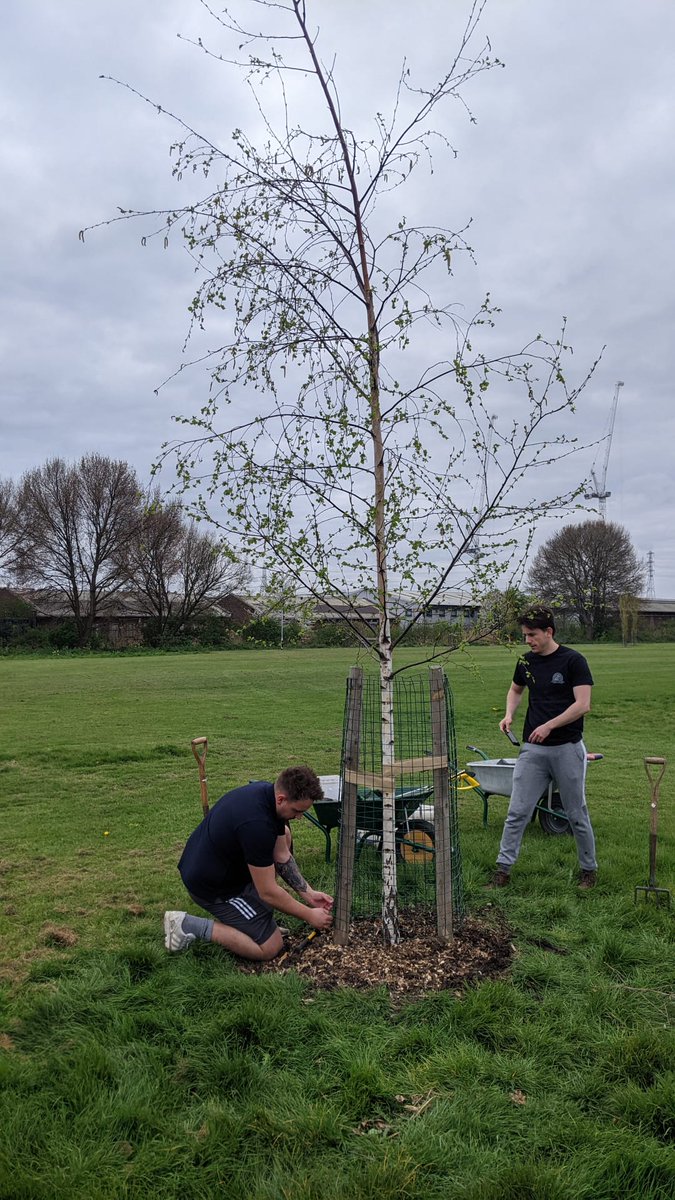 Trees for Cities tweet media