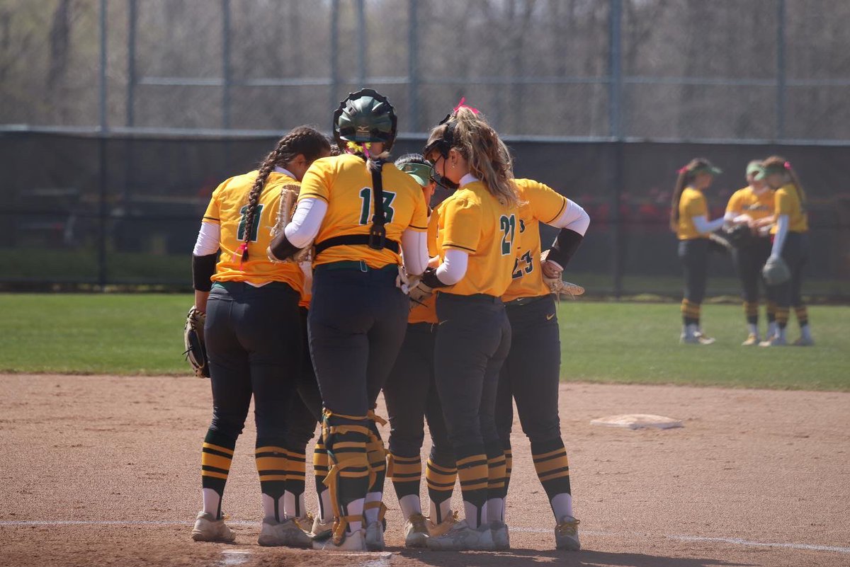 Oswego Softball tweet media