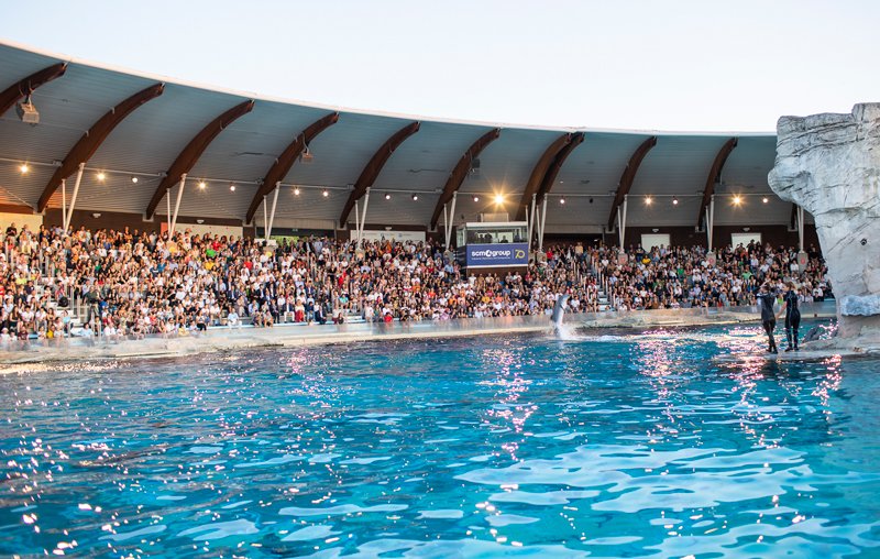 Scm Group tweet media