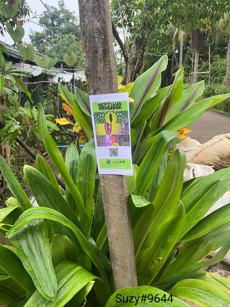 zHelY69's tweet photo. today I decided to spread some words about my favorite project in my town, made like 15 flyers with a qr code and posted them on bus stops and walls. I hope you will appreciate my efforts
#IRLLizzys
@ReptilianRenegg https://t.co/in7DUWJkbo