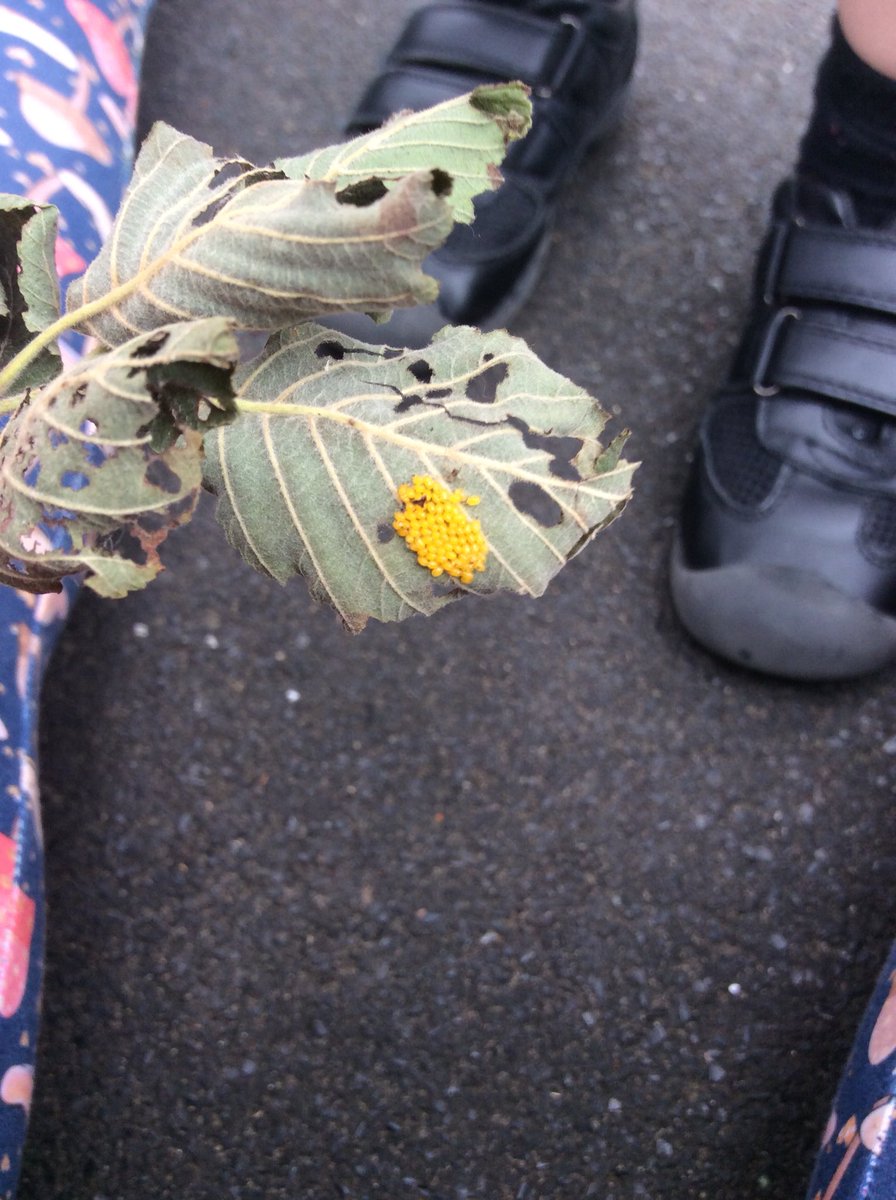 GarswoodNursery tweet media