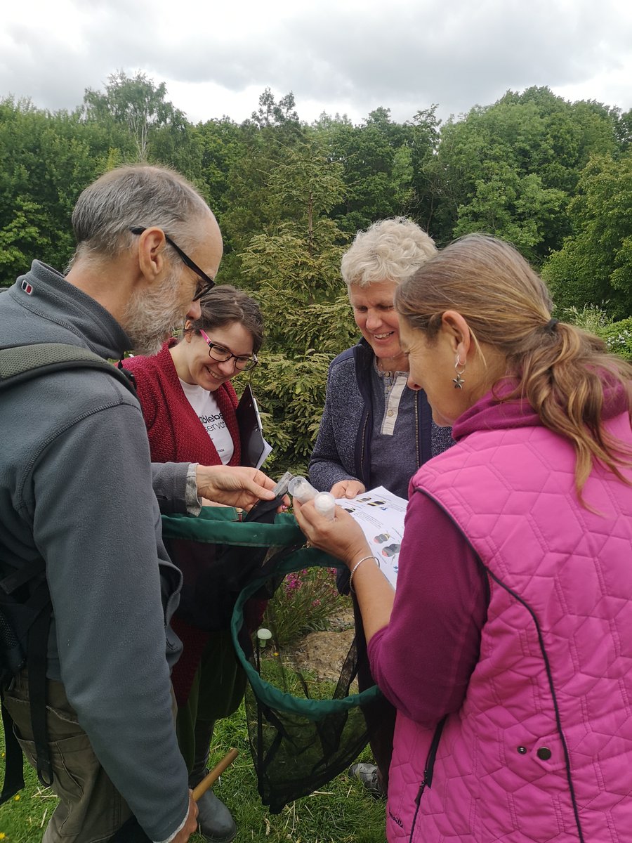 BuzzingWales's tweet photo. Bumblebee identification &amp; Beewalk training @TreborthBG today! Delighted to welcome a smashing group including lovely local Beekeepers - great to have such exchange of knowledge and ideas around #pollinators! https://t.co/glw12iFaOV