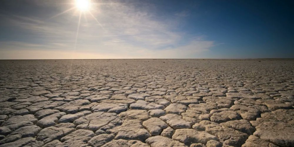 Full Spectrum tweet media