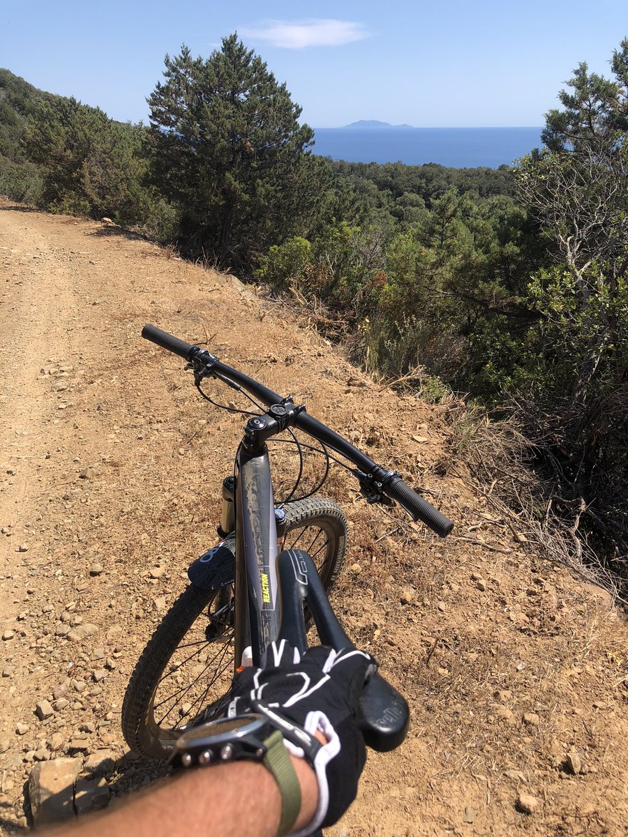 SimonRohl's tweet photo. Hello everyone 👋👋👋. 

How is your day?

Me after so many years I went back to take a MTB ride. Let's hope it's the right time to start over🤞🤞🤞 https://t.co/QnySxAt1NR