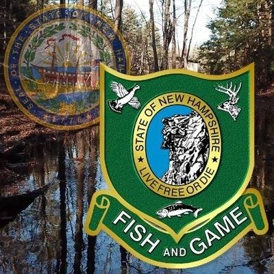 A man was seriously injured in an ATV crash in Nelson Saturday. #NHfishandgame #nelsonnh

monadnockbeat.com/articles/chesh…