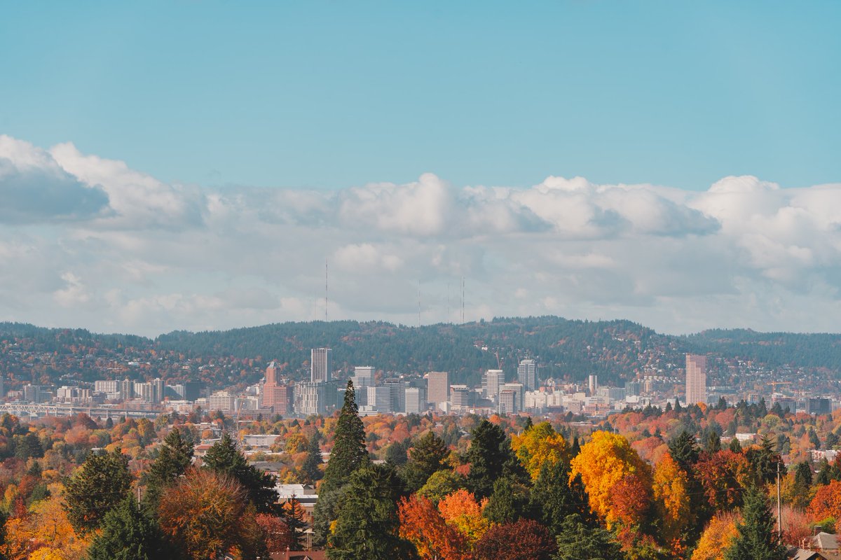 realestatecom21's tweet photo. How to find a REALTOR in the City of Roses. Check out our guide on Portland real estate agents. 

#portland #northwest

https://t.co/a4ylCrd7Dw https://t.co/f1I9harF2x