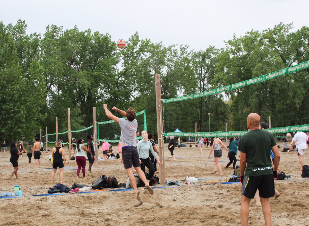 Ashbridges Volleyball tweet media