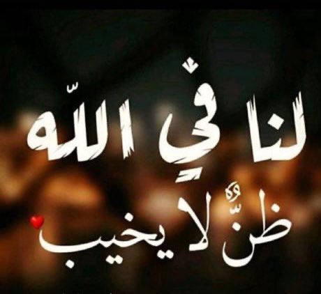 Mohamed Hamde (@mohamed94165757) on Twitter photo 