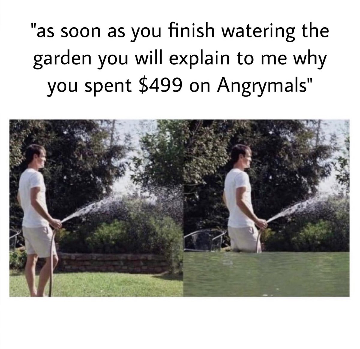 angrymals's tweet image. this is not the #first #time this has happened, and it probably #willnot be #thelast 😡