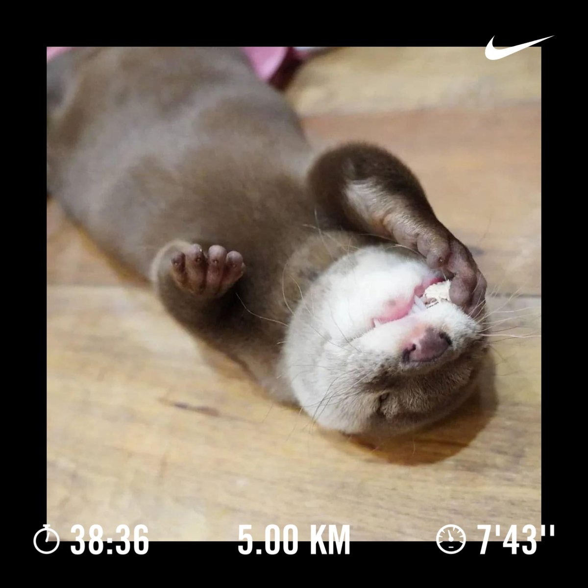 selenecooper's tweet photo. 5km 🏃🏾‍♀️✅

#jogging #runningmotivation #runningontreadmill #runningcommunity #nikereactinfinity
 #mawan #hk #runrunrun #garmin745 #runnersofinstagram #run #runner #running #runforlife #run4fun #runhappy #runnerscommunity #runnergirl #runcommunity #slowrunnersclub #jogger #happyrun https://t.co/R77e6EC9I8