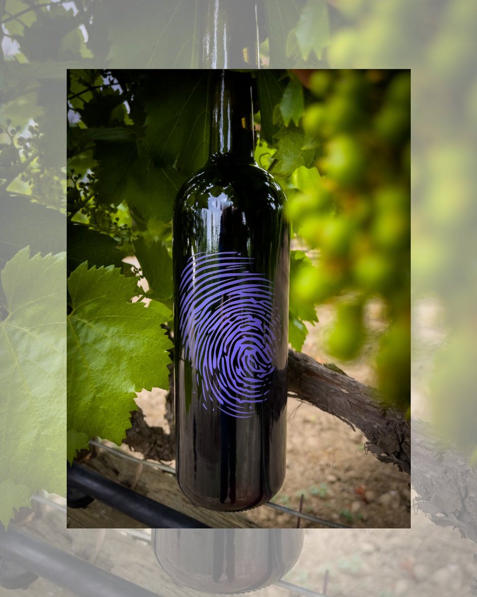 It’s just another tannic Monday! 🍇🤩 2018 Zinfandel Alexander Valley, Sonoma County Ramazzotti Vineyard Field-blend of roughly 95% zinfandel, 3% carignane and 2% petite sirah.