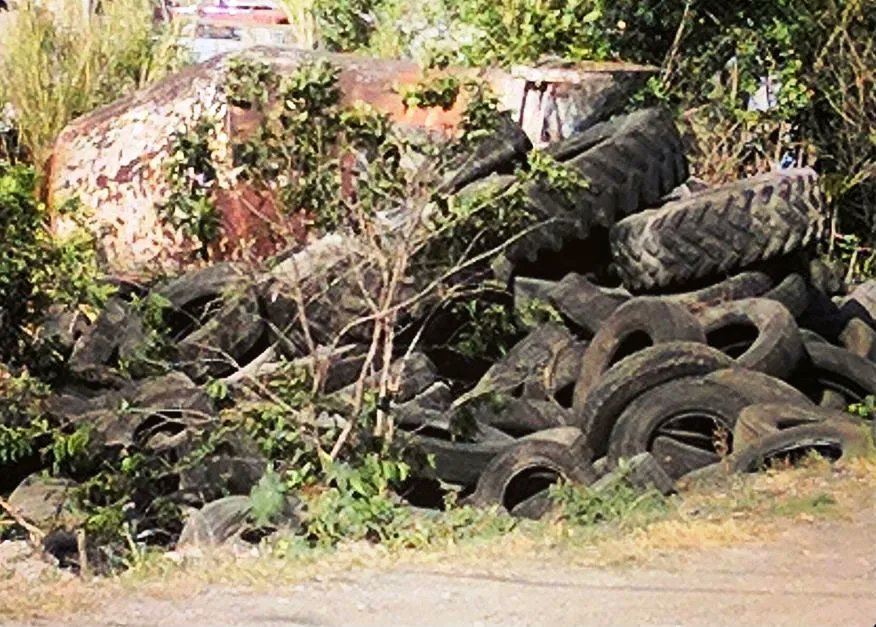 Do you know that that tire particles account for five to 10 percent of ocean plastic pollution? buff.ly/3pHsTD1 #lowcountrylife #realenvironmentaldifference #woundednature #working #veterans #workingveterans #woundednatureworkingveterans #cleanup #coastalcleanup #wildlife