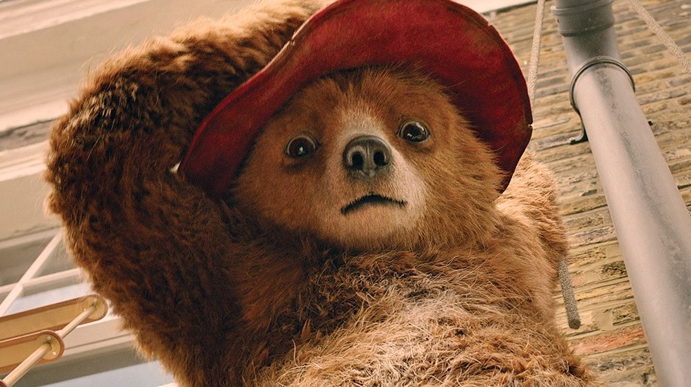 Scott Gustin tweet media