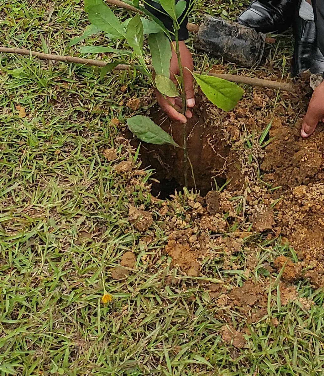 GTFmeghalaya's tweet photo. "Only One 🌏"
#EveryDayIsWorldEnvironmentDay 📍GTF - East Khasi Hills Division💚✊🌳
One Tree!🌳One Life!
#forest #wildlife #river #Meghalaya🌦 #environment 🐾 https://t.co/EIcq64kUPu