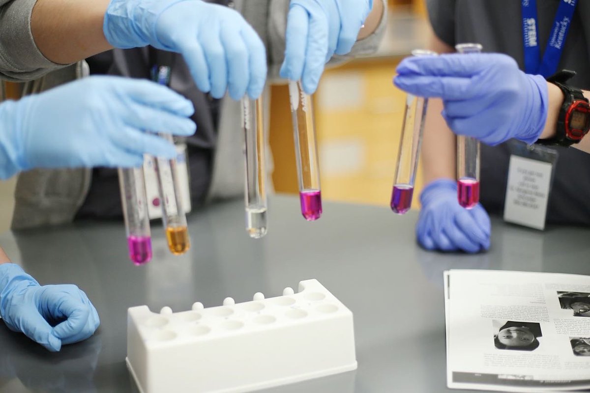 See Blue STEM Camp tweet media