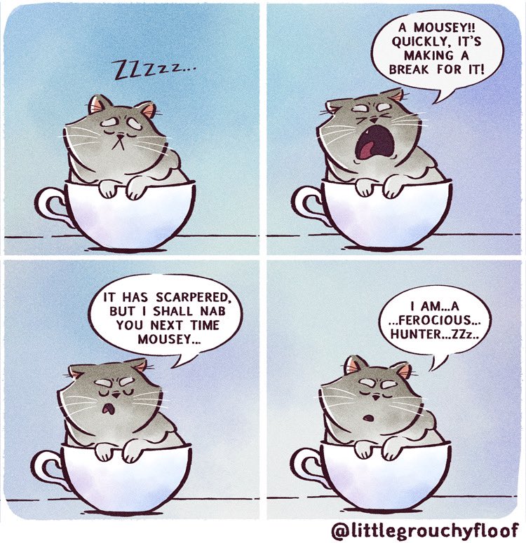 Dreaming in sleepyland 😴