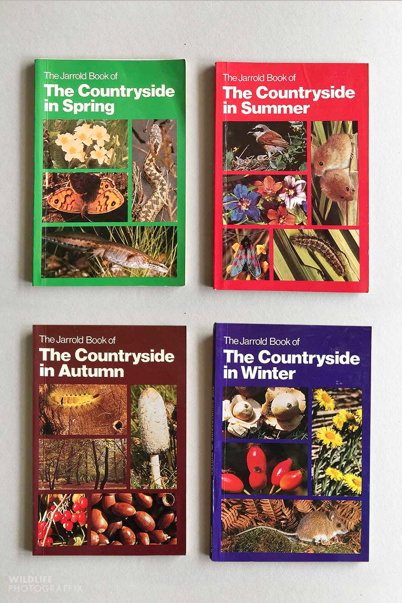 marcouccellini_'s tweet photo. A lovely set of Jarrold Nature books found @NTWightwick second-hand bookshop today! 😀 #natureguide #VintageBooks #70s #nature #books https://t.co/vAwjUWKAxV