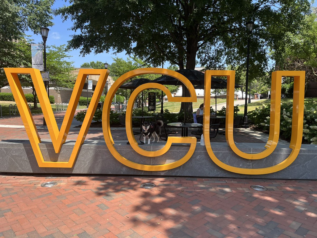 Dr. Chelsea Shore-Miller, PhD tweet media